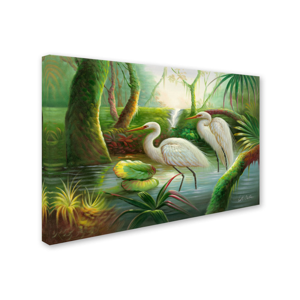 Victor Giton Two Herons Canvas Art 16 x 24 Image 2