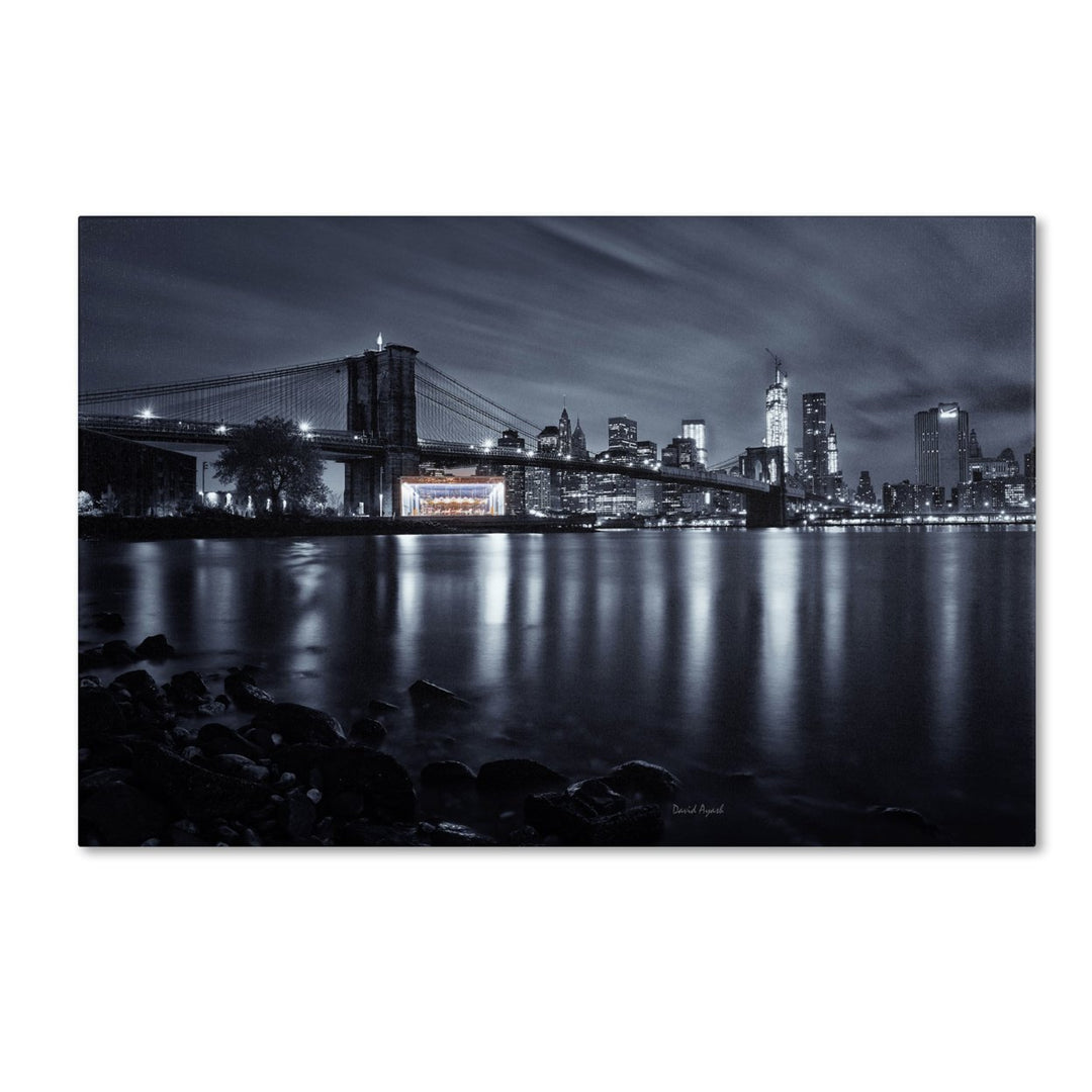 David Ayash Janes Carousel Brooklyn Bridge Canvas Art 16 x 24 Image 1