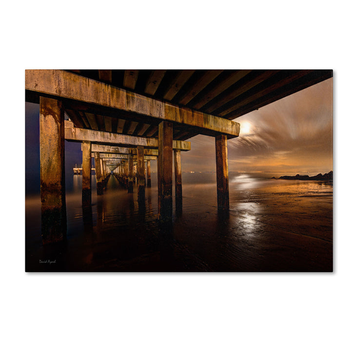 David Ayash Coney Island - Brooklyn NY II Canvas Art 16 x 24 Image 1