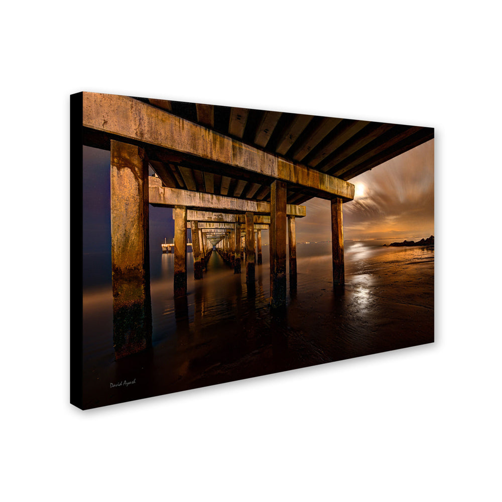 David Ayash Coney Island - Brooklyn NY II Canvas Art 16 x 24 Image 2