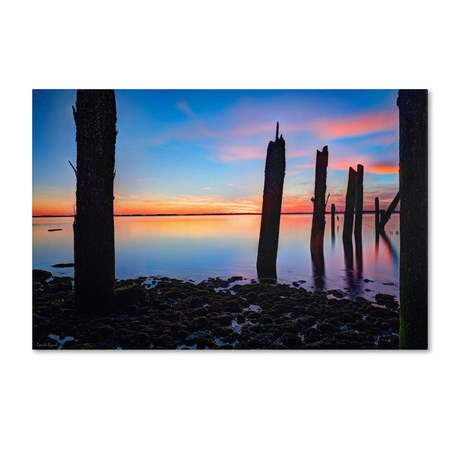 David Ayash Jamaica Bay Sunset - NYC I Canvas Art 16 x 24 Image 1
