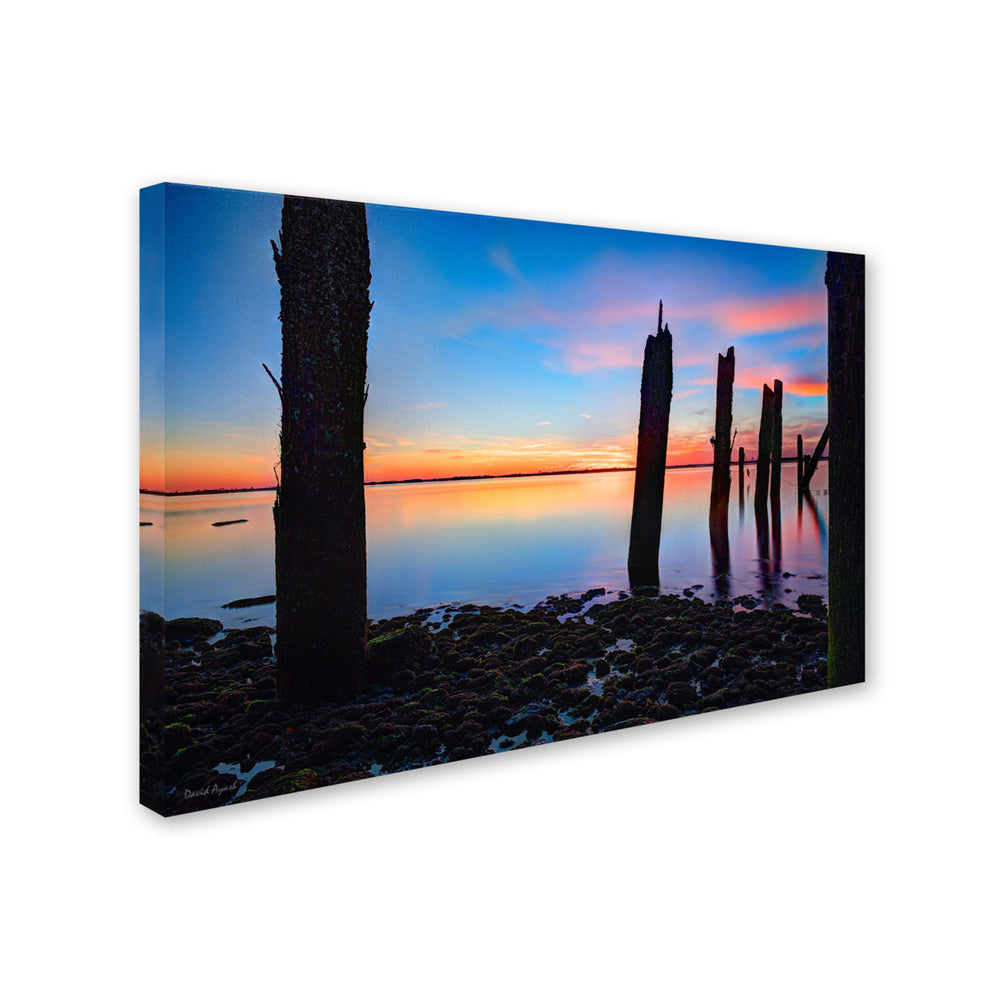 David Ayash Jamaica Bay Sunset - NYC I Canvas Art 16 x 24 Image 2