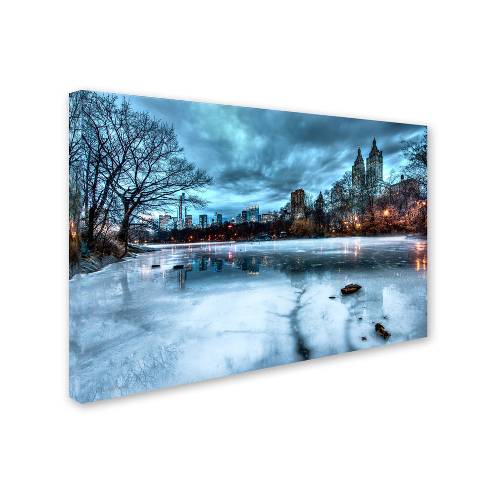 David Ayash Frozen Central Park Lake II Canvas Art 16 x 24 Image 2