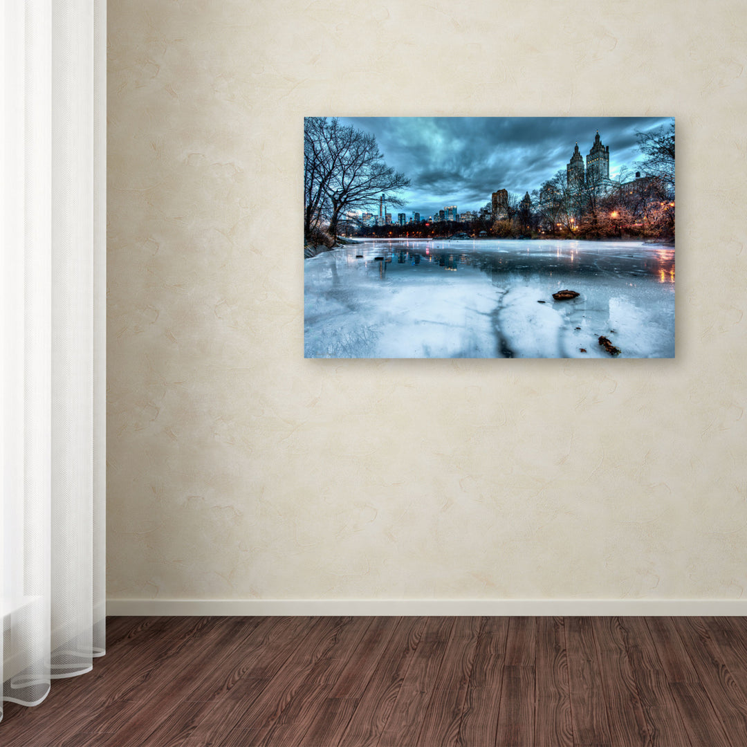 David Ayash Frozen Central Park Lake II Canvas Art 16 x 24 Image 3