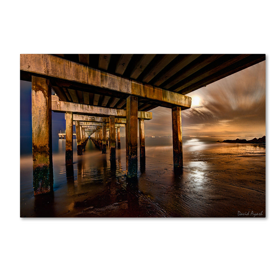 David Ayash Coney Island Pier by Moonlight Canvas Art 16 x 24 Image 1