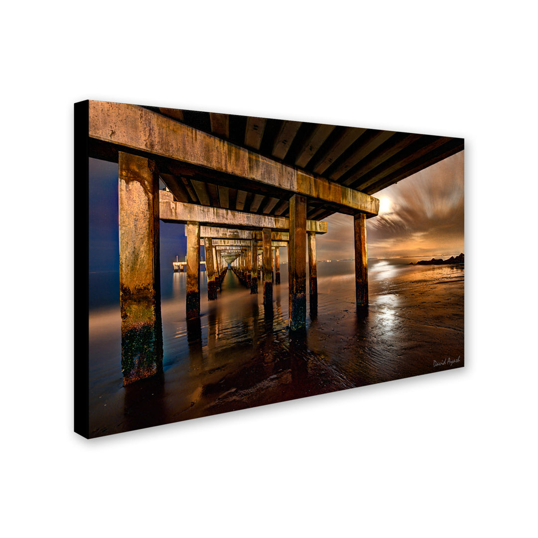 David Ayash Coney Island Pier by Moonlight Canvas Art 16 x 24 Image 2