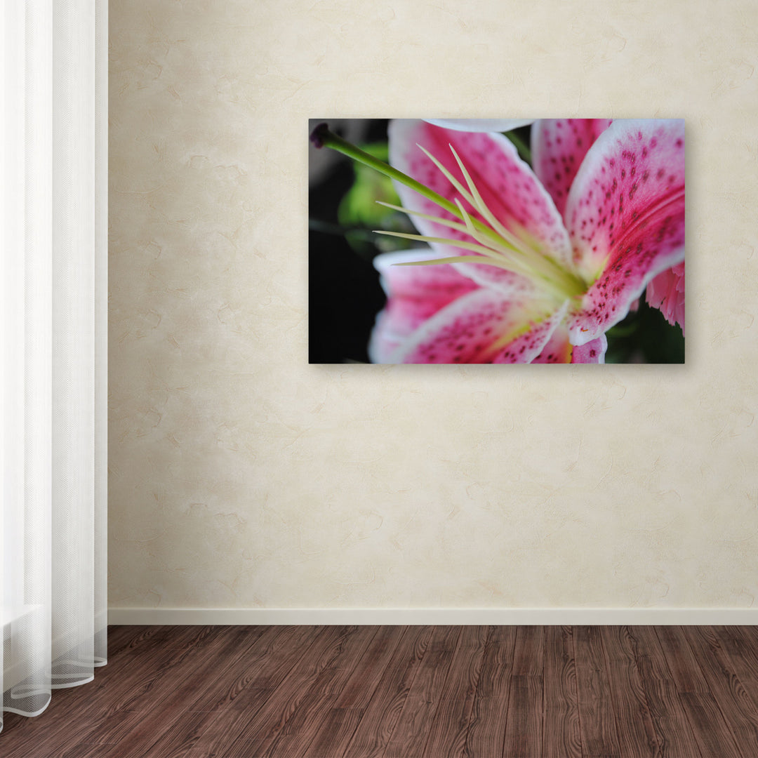 Monica Fleet Pink Flower Canvas Art 16 x 24 Image 3
