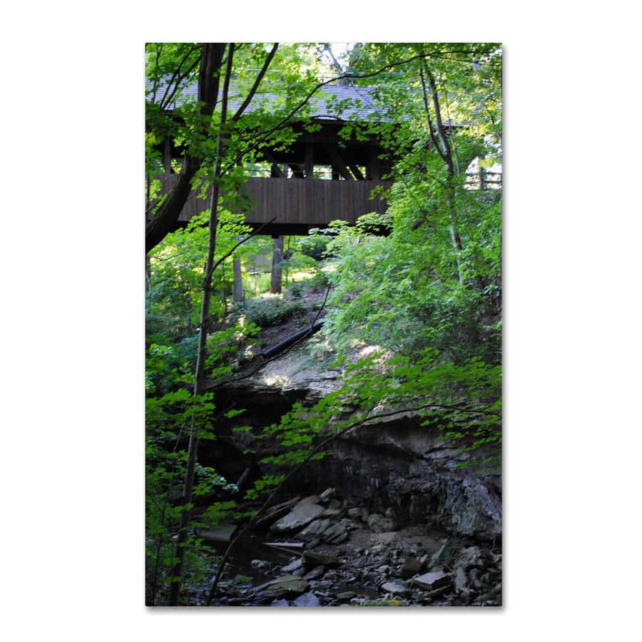 Monica Fleet Latent Bridge Canvas Art 16 x 24 Image 1