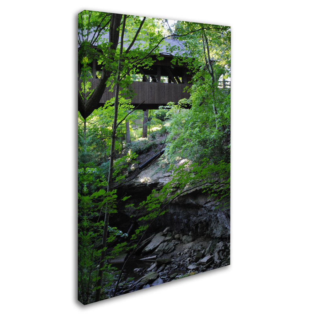 Monica Fleet Latent Bridge Canvas Art 16 x 24 Image 2