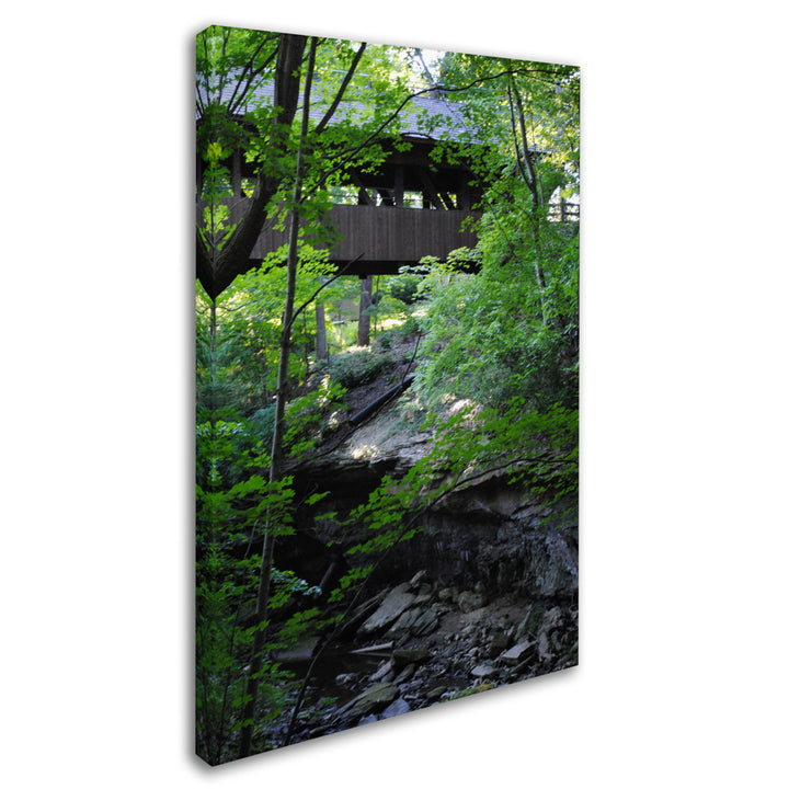 Monica Fleet Latent Bridge Canvas Art 16 x 24 Image 2