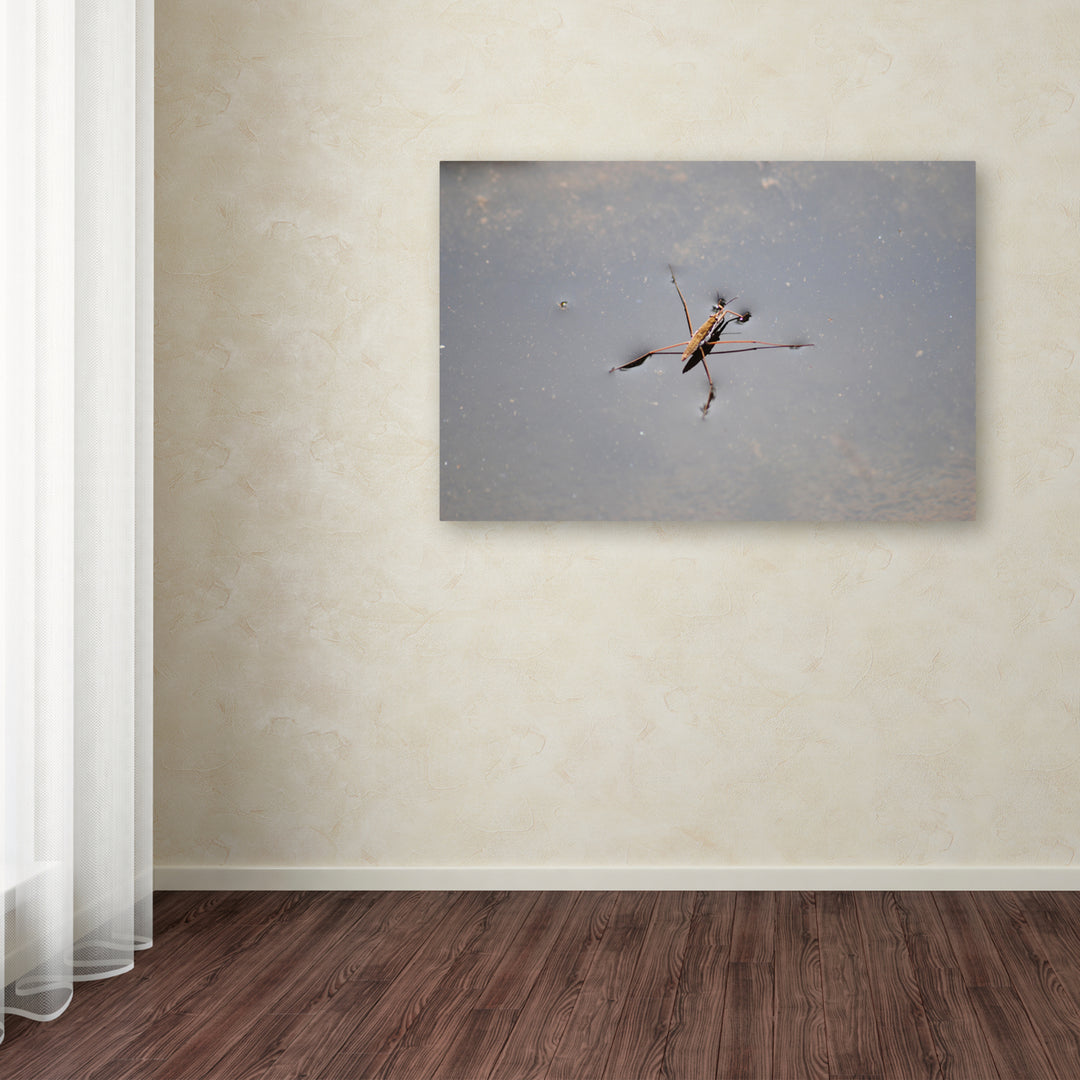 Monica Mize Glide Canvas Art 16 x 24 Image 3