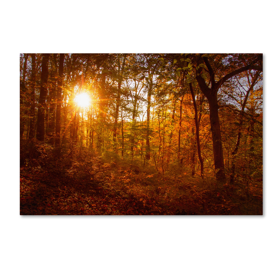 PIPA Fine Art Autumn Sunset Canvas Art 16 x 24 Image 1