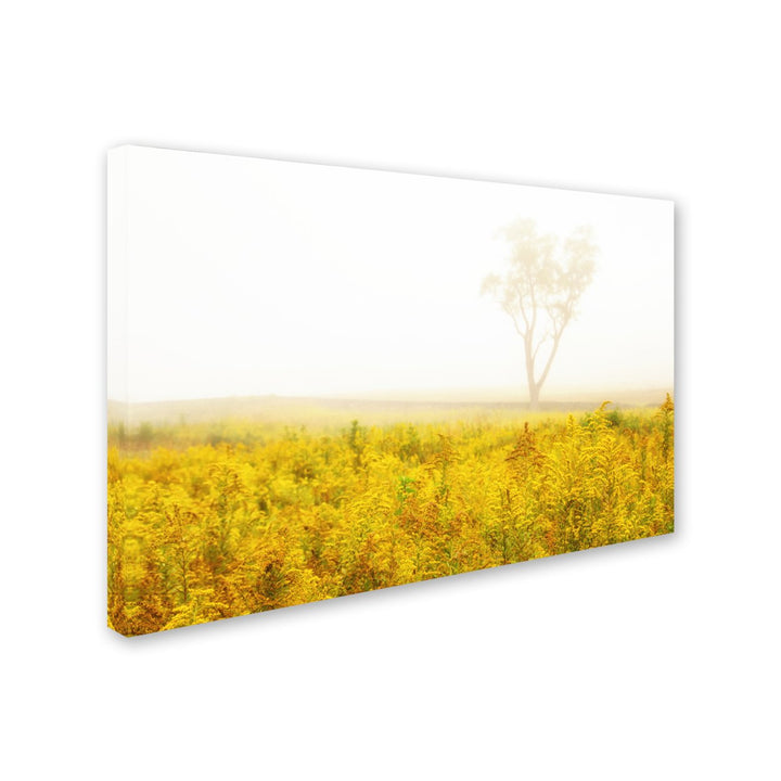 PIPA Fine Art Dreams of Goldenrod and Fog Canvas Art 16 x 24 Image 2