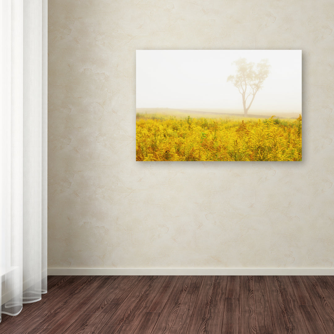 PIPA Fine Art Dreams of Goldenrod and Fog Canvas Art 16 x 24 Image 3