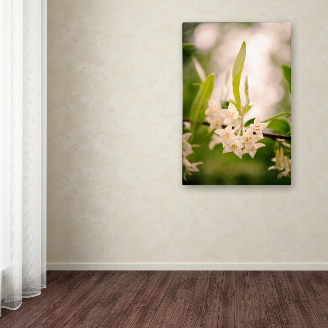 PIPA Fine Art Floral Tranquility Canvas Art 16 x 24 Image 3