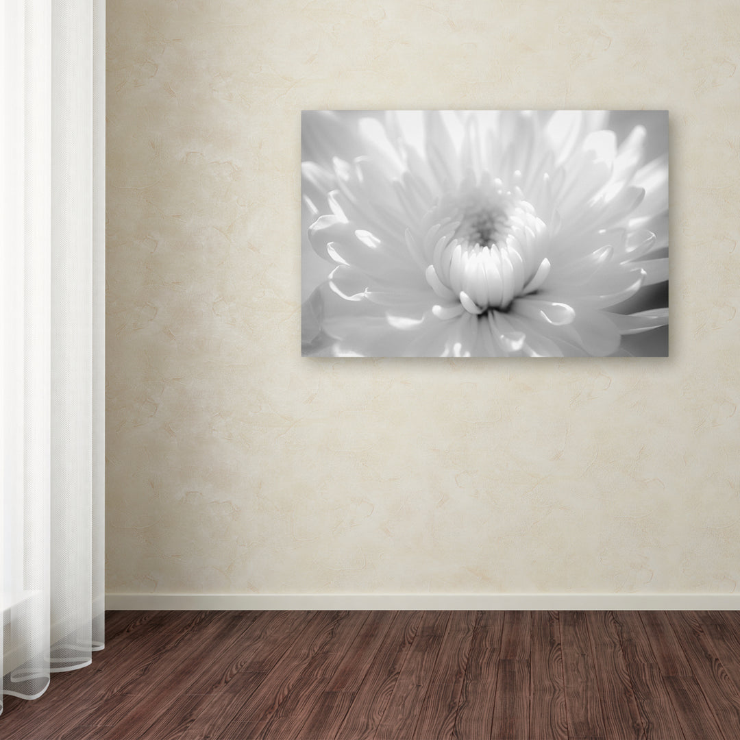 PIPA Fine Art Infrared Flower 2 Canvas Art 16 x 24 Image 3