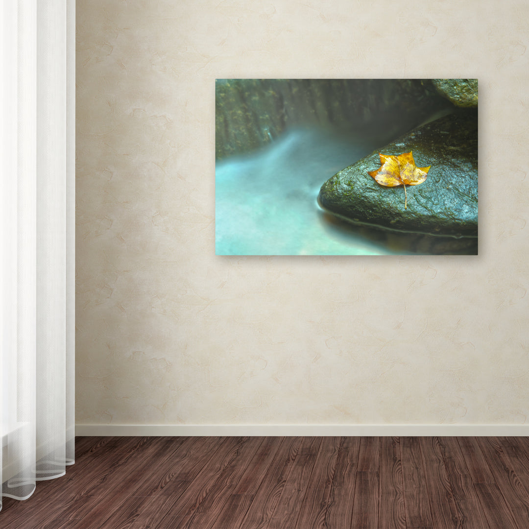 PIPA Fine Art Misty Leaf Canvas Art 16 x 24 Image 3