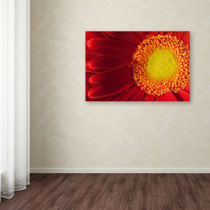 PIPA Fine Art Natures Beauty Canvas Art 16 x 24 Image 3