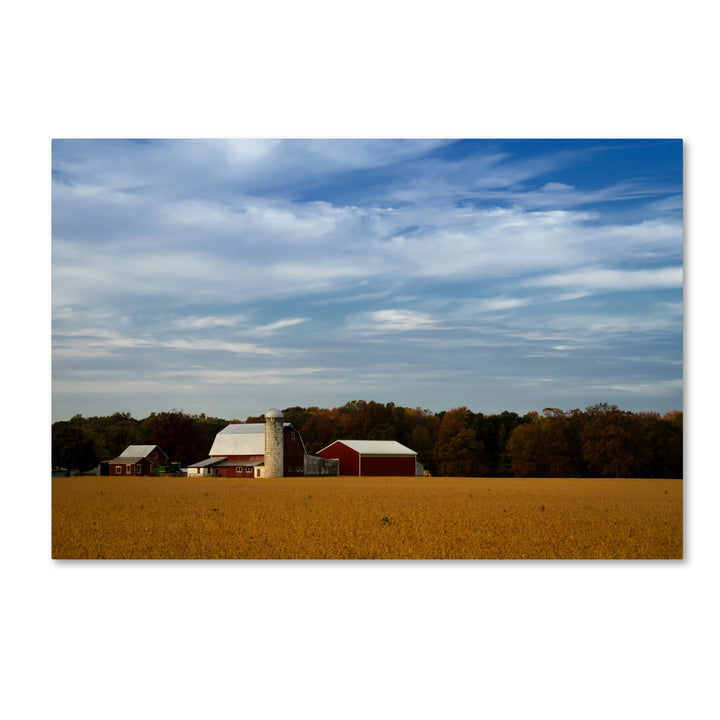 PIPA Fine Art Red Barn in Golden Field Canvas Art 16 x 24 Image 1