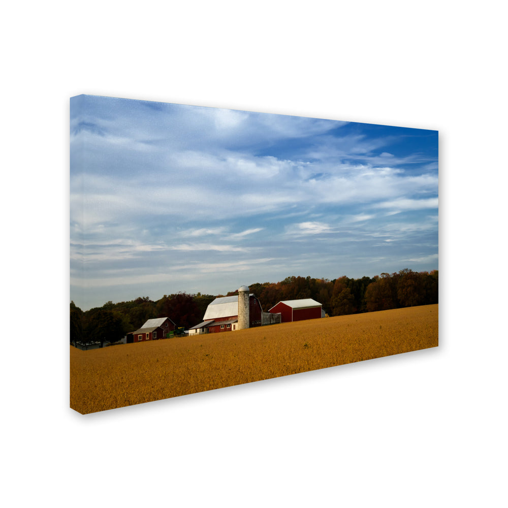 PIPA Fine Art Red Barn in Golden Field Canvas Art 16 x 24 Image 2