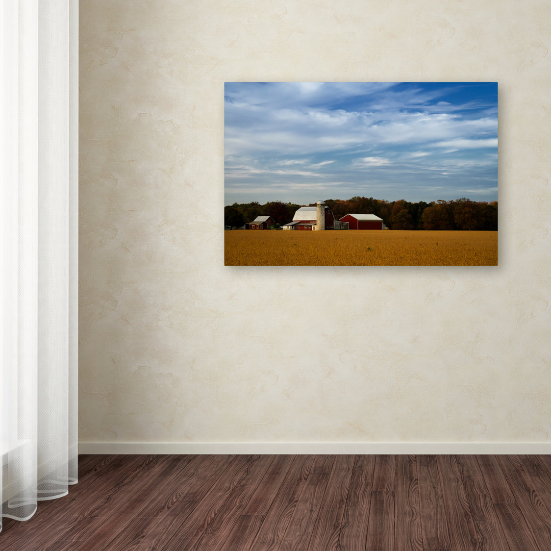 PIPA Fine Art Red Barn in Golden Field Canvas Art 16 x 24 Image 3
