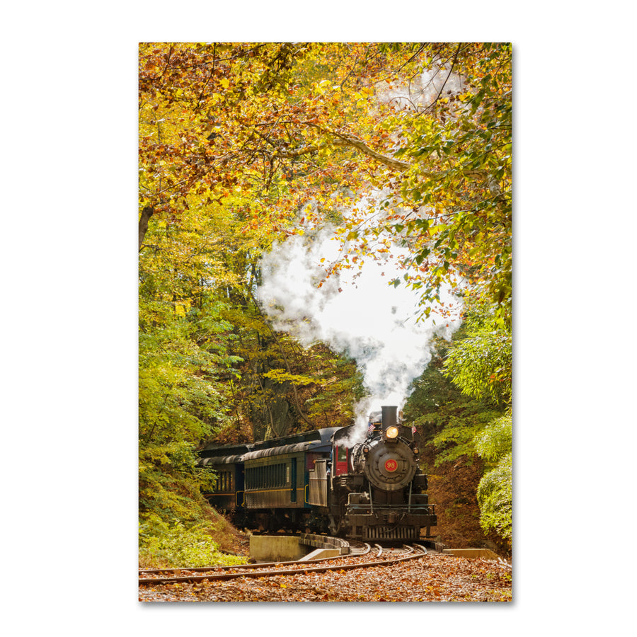 PIPA Fine Art Steam Train with Autumn Foliage Canvas Art 16 x 24 Image 1