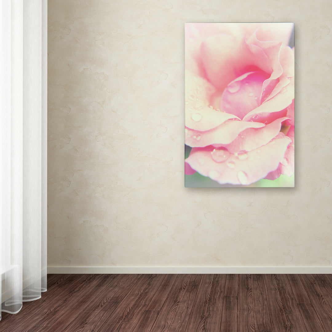 PIPA Fine Art Softened Rose Canvas Art 16 x 24 Image 3