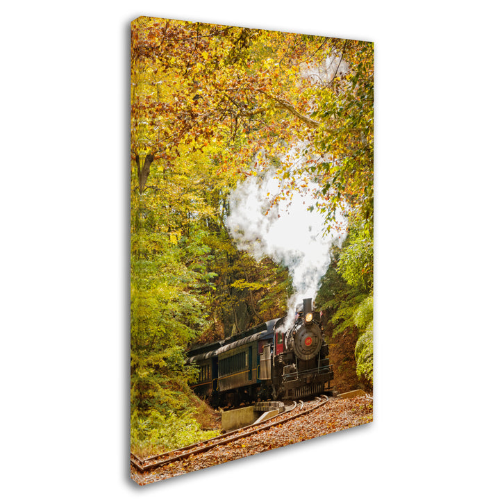PIPA Fine Art Steam Train with Autumn Foliage Canvas Art 16 x 24 Image 2