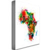Michael Tompsett Africa - Paint Splashes Canvas Art 16 x 24 Image 2