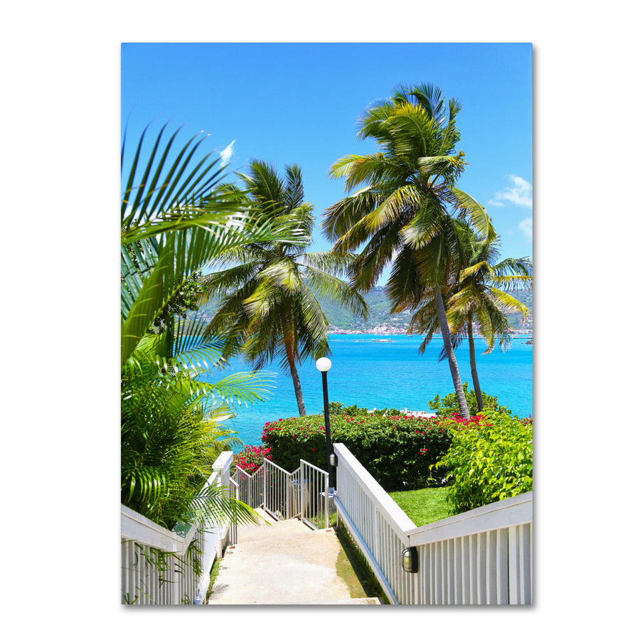 CATeyes Virgin Islands 3 Canvas Art 16 x 24 Image 1
