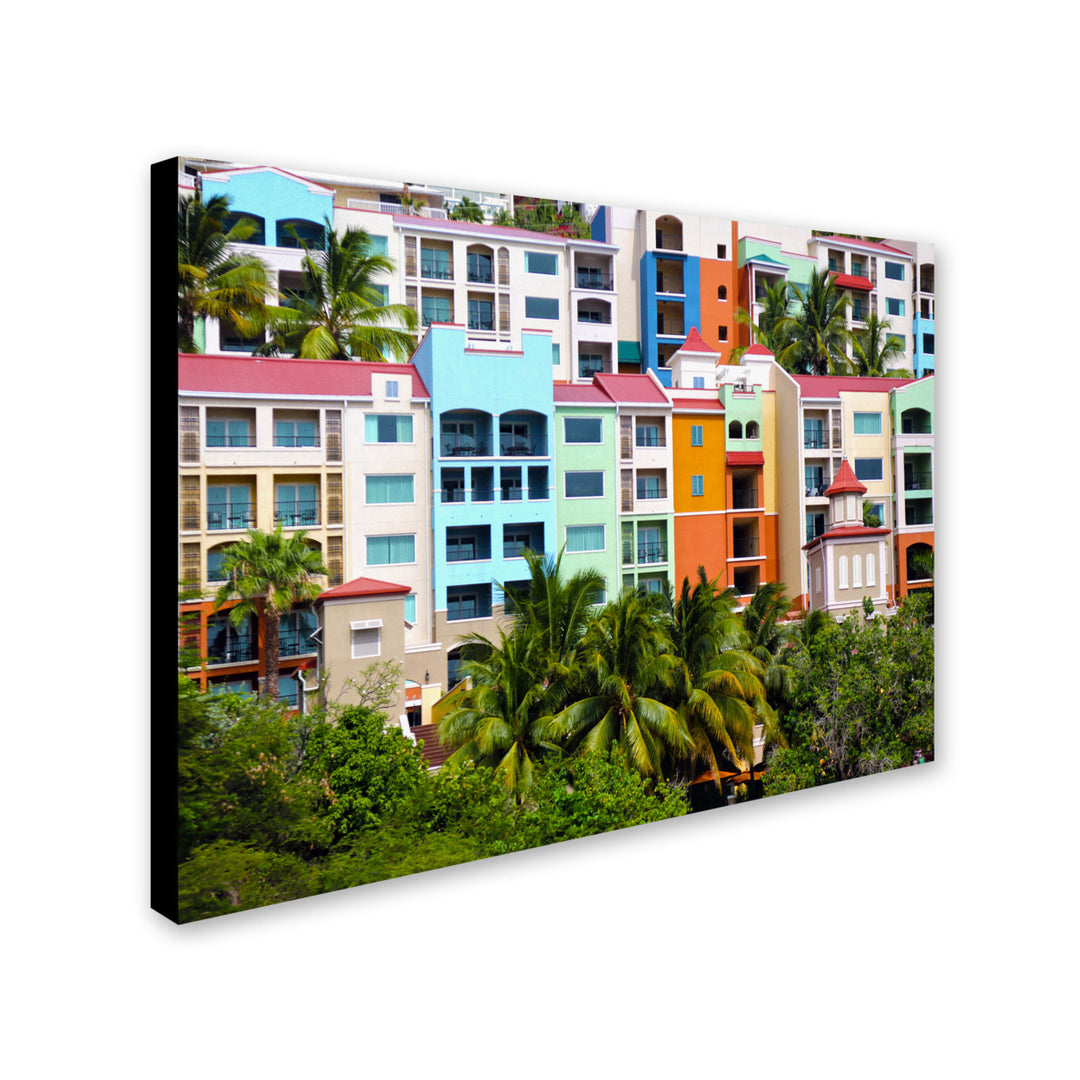 CATeyes Virgin Islands 2 Canvas Art 16 x 24 Image 1