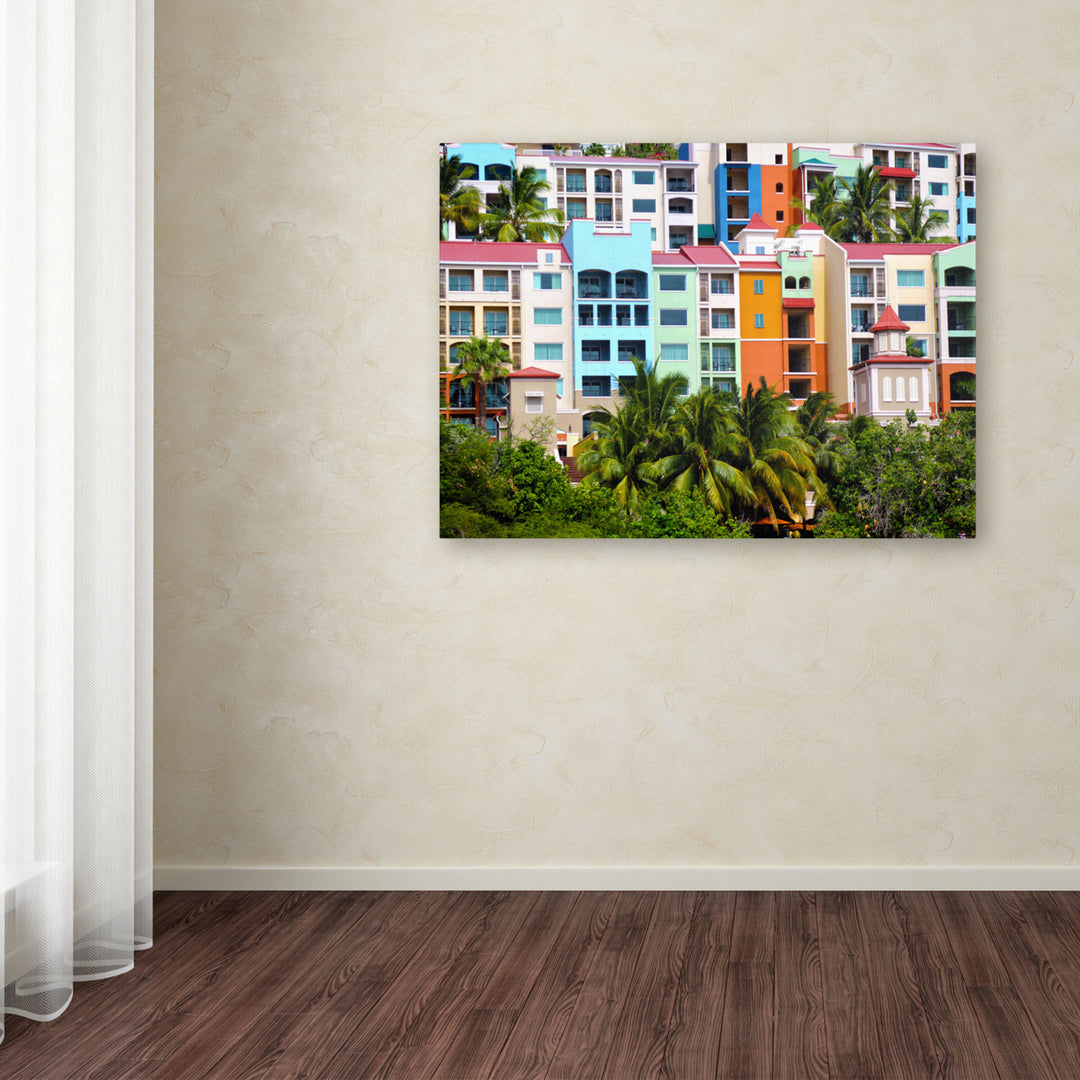 CATeyes Virgin Islands 2 Canvas Art 16 x 24 Image 2