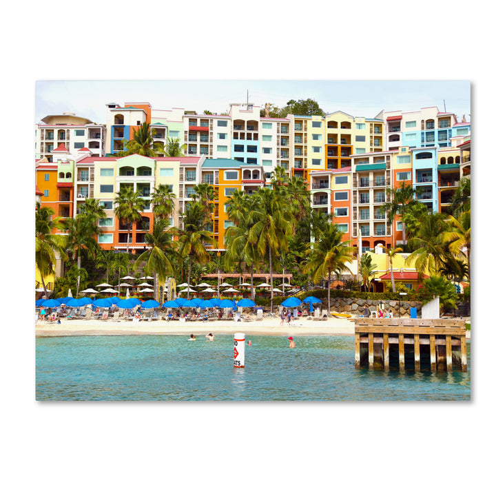 CATeyes Virgin Islands 8 Canvas Art 16 x 24 Image 1