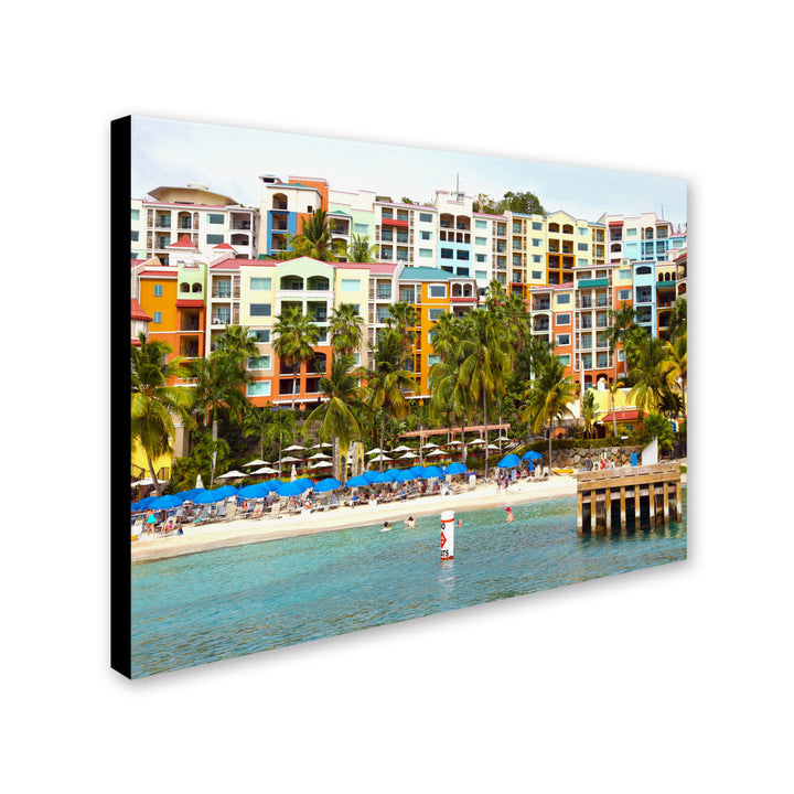 CATeyes Virgin Islands 8 Canvas Art 16 x 24 Image 2