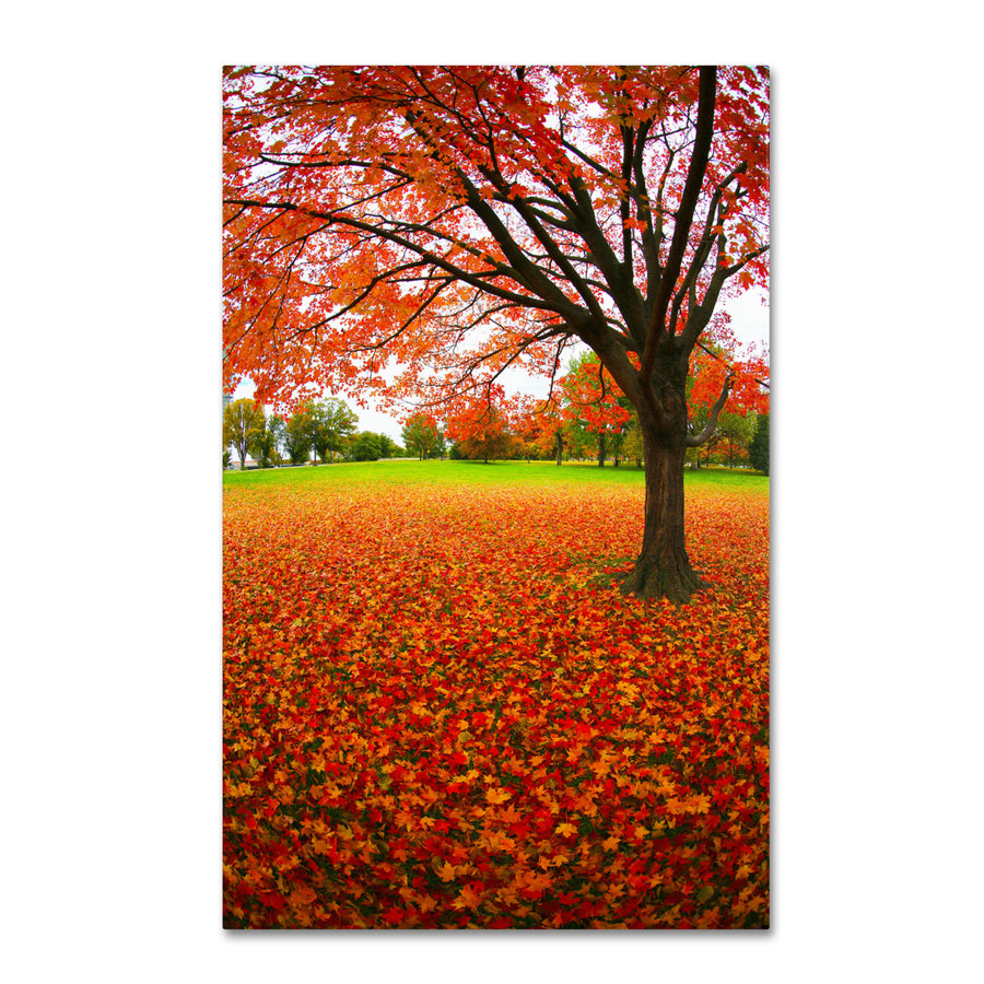 CATeyes Autumn Expressions Canvas Art 16 x 24 Image 1