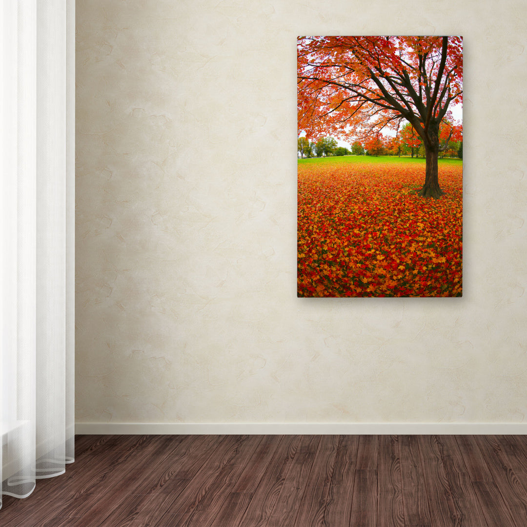 CATeyes Autumn Expressions Canvas Art 16 x 24 Image 3