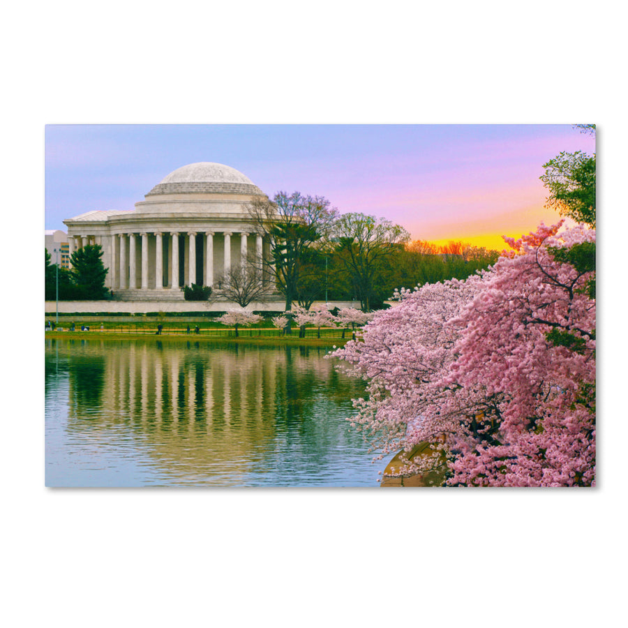 CATeyes Cherry Blossoms 2014-6 Canvas Art 16 x 24 Image 1