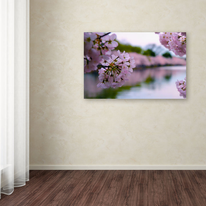 CATeyes Cherry Blossoms 2014-2 Canvas Art 16 x 24 Image 3