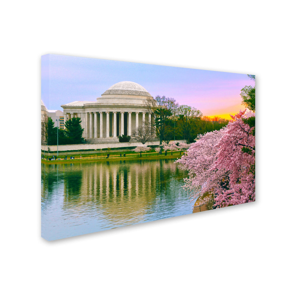 CATeyes Cherry Blossoms 2014-6 Canvas Art 16 x 24 Image 2