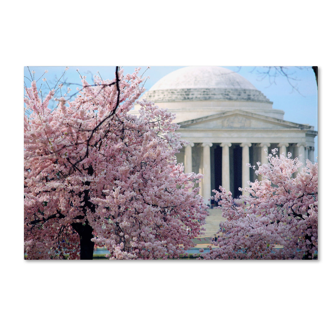 CATeyes Cherry Blossoms 2014-7 Canvas Art 16 x 24 Image 1