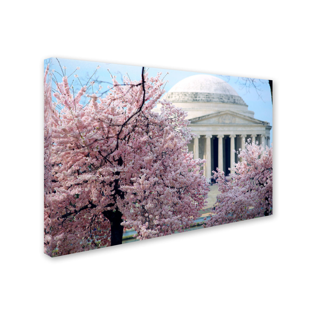 CATeyes Cherry Blossoms 2014-7 Canvas Art 16 x 24 Image 2