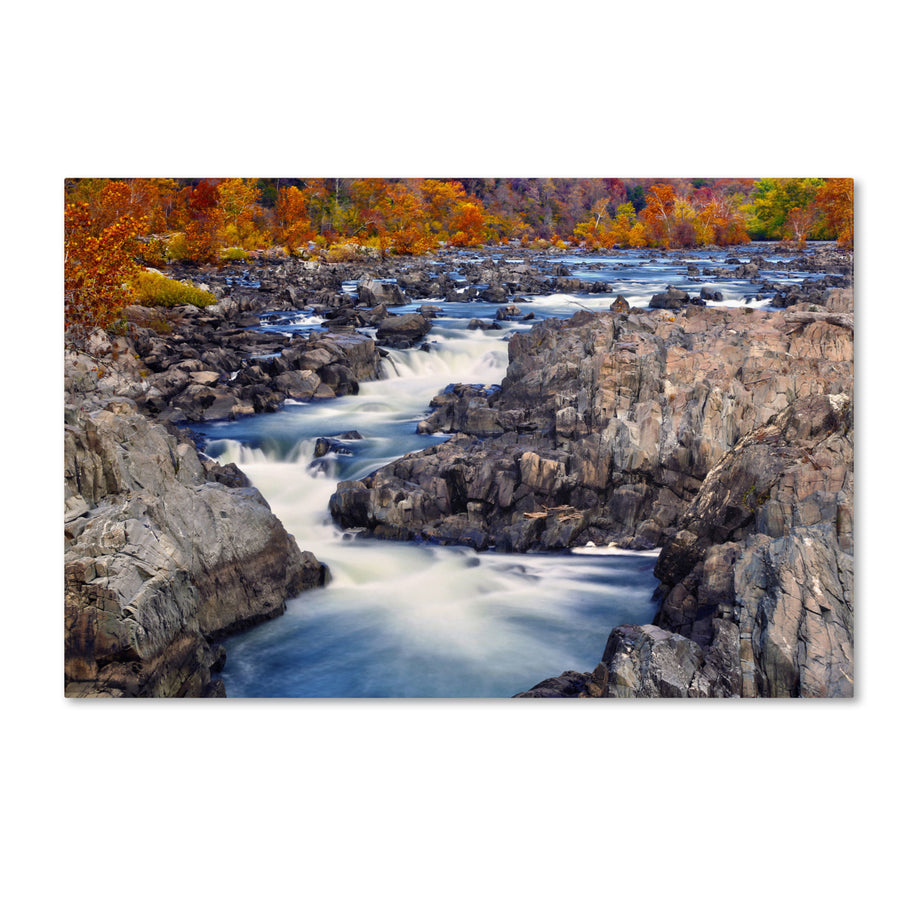 CATeyes Great Falls Canvas Art 16 x 24 Image 1
