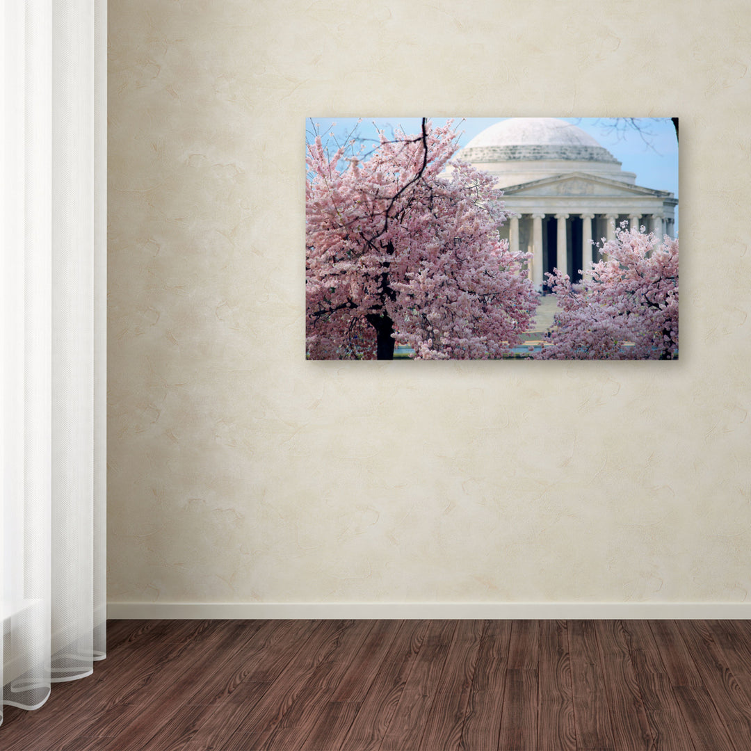 CATeyes Cherry Blossoms 2014-7 Canvas Art 16 x 24 Image 3