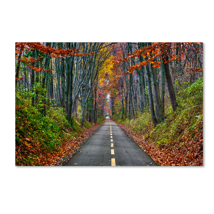 CATeyes Paths Canvas Art 16 x 24 Image 1