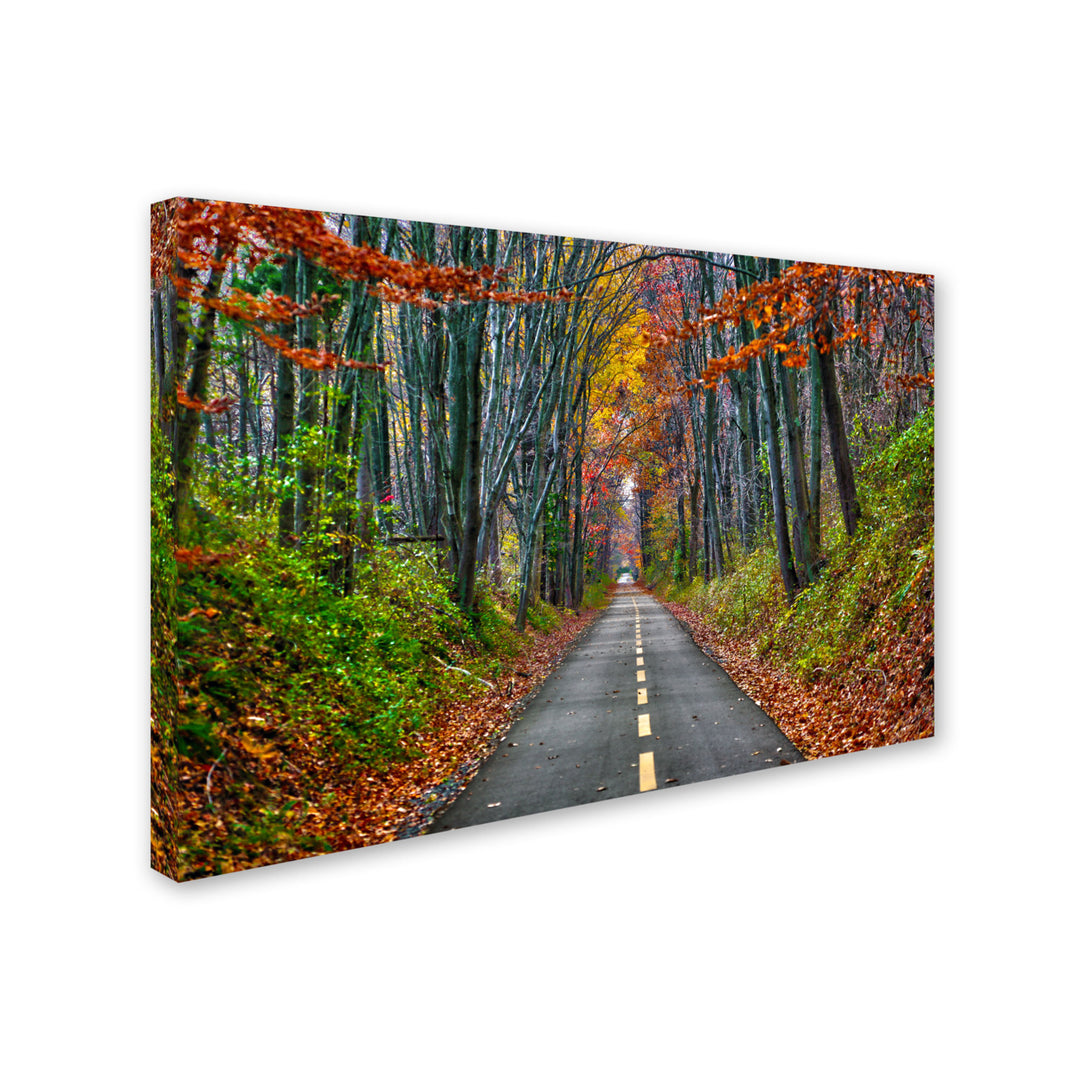 CATeyes Paths Canvas Art 16 x 24 Image 2