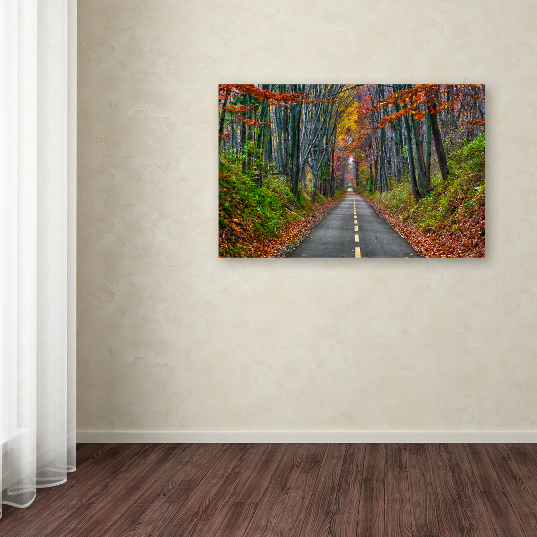 CATeyes Paths Canvas Art 16 x 24 Image 3