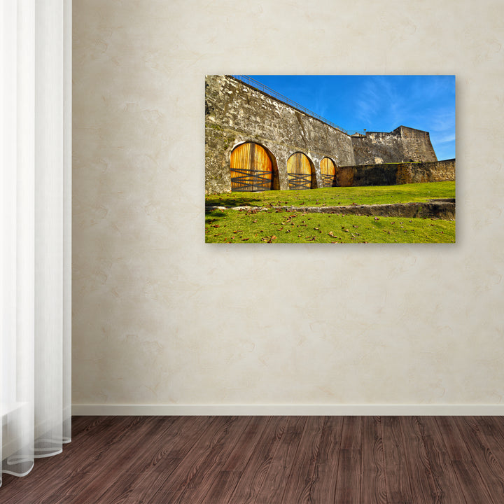 CATeyes Castillo San Cristobal Canvas Art 16 x 24 Image 3