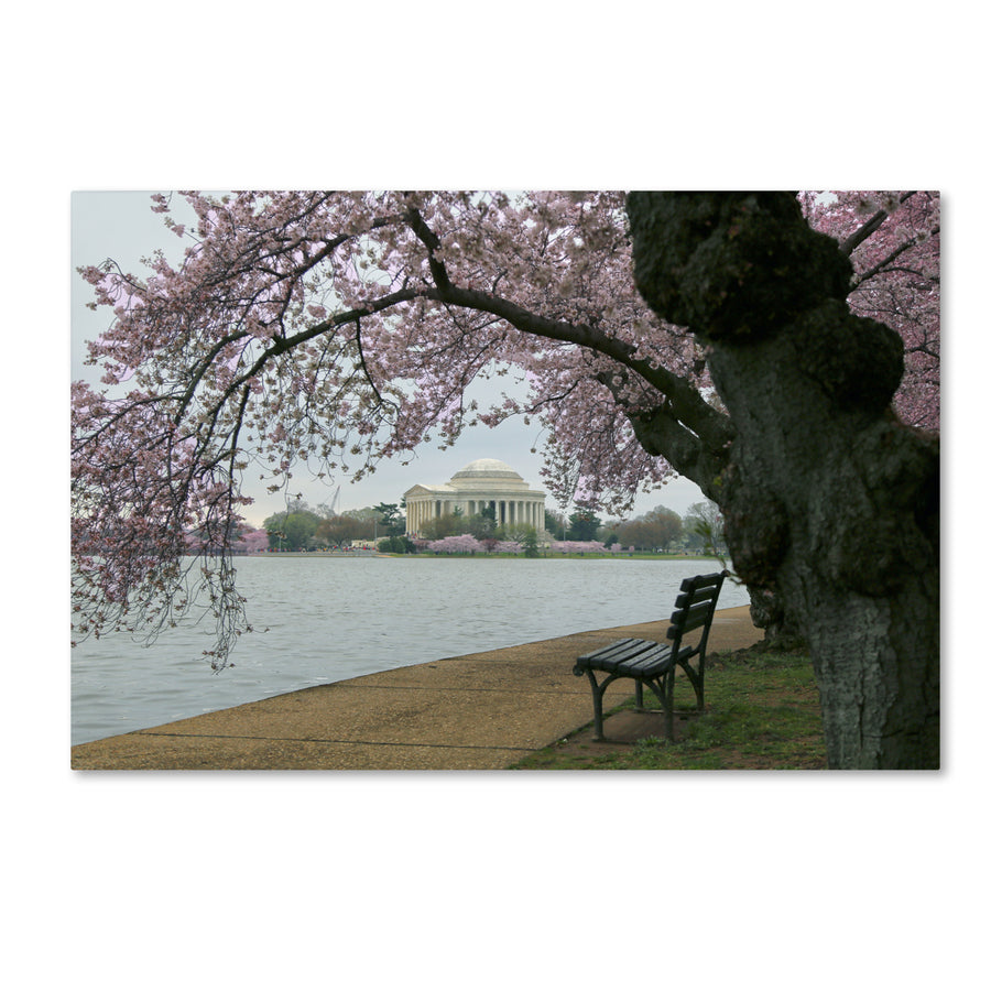 CATeyes Arched Blossoms Canvas Art 16 x 24 Image 1