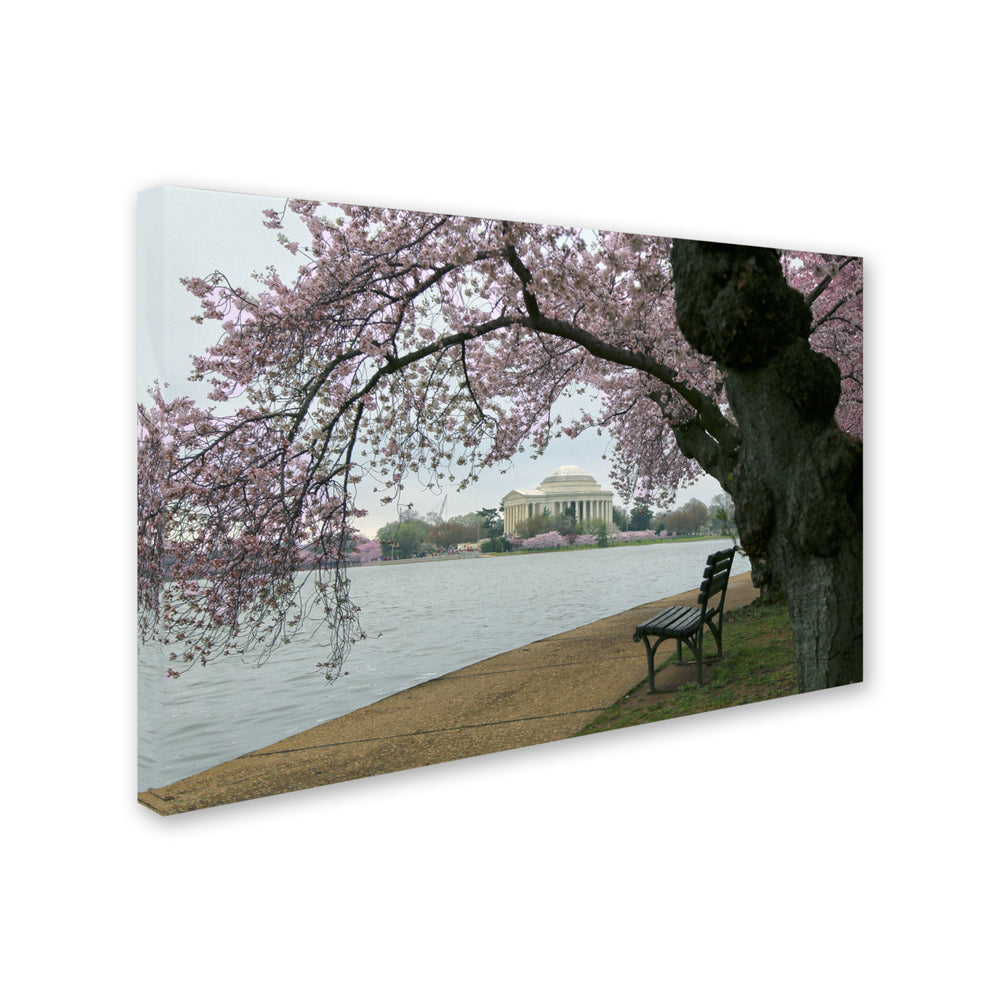 CATeyes Arched Blossoms Canvas Art 16 x 24 Image 2