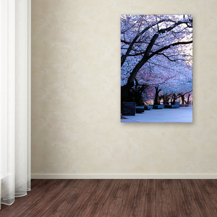 CATeyes Cherry Blossom Shade Canvas Art 16 x 24 Image 3